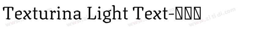 Texturina Light Text字体转换